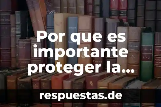 Por que es importante proteger la propiedad intelectual