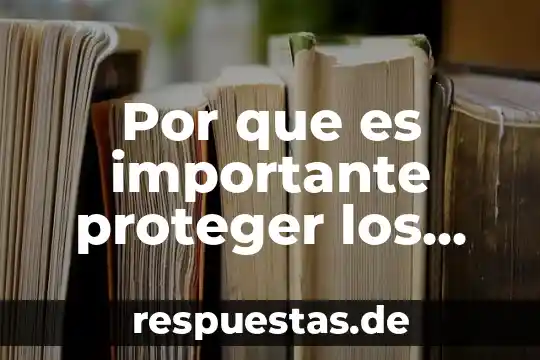 Por que es importante proteger los derechos de los trabajadores