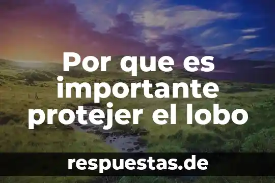 En informática que es alternativa de protección 3 Por que es importante protejer el lobo