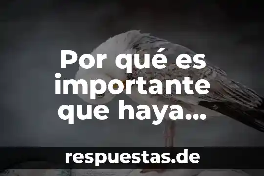 Que es el tdi significado 4 Por qué es importante que haya muchos tipos de textos