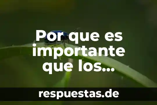 Por que es importante la sibilidad 7 Por que es importante que los razonamientos cin