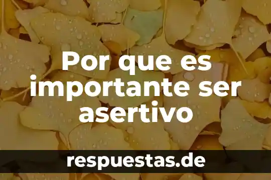Que es ser poco asertivo 4 Por que es importante ser asertivo