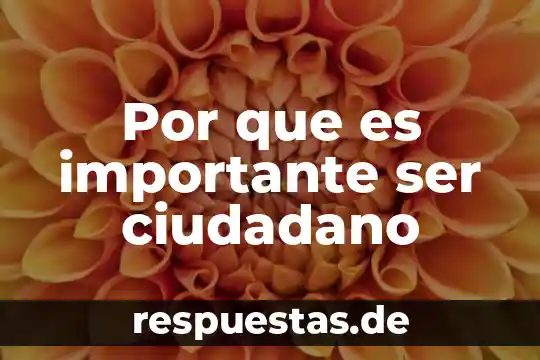 Que es ser ciudadano en democracia 7 Por que es importante ser ciudadano