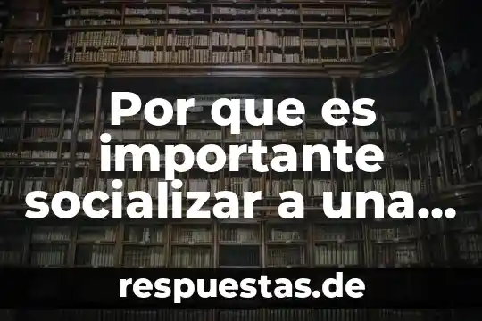 Por que es importante socializar a una mujer