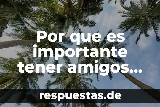 Por que es importante tener amigos reflexion