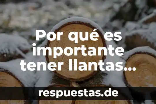 Que es tener mi vida en sociedad 4 Por qué es importante tener llantas lisas