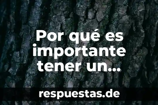 Que es el razonamiento informal 5 Por qué es importante tener un certificado