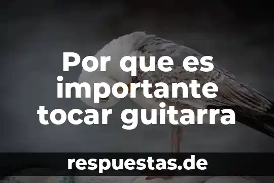 Qué es un principio en ciencia 6 Por que es importante tocar guitarra