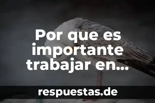 Que es percepción en arquitectura 8 Por que es importante trabajar en equipo en arquitectura