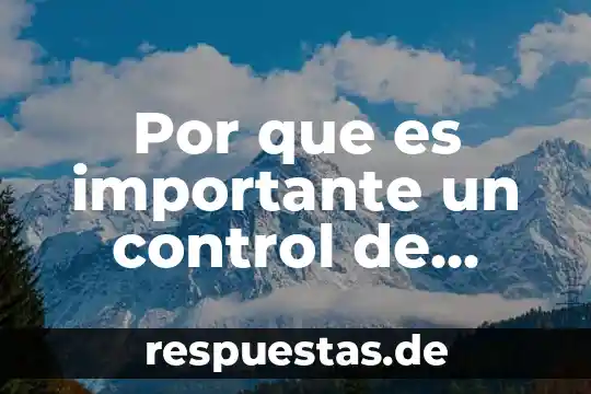 Por que es importante organizarse en una sociedad 7 Por que es importante un control de procesos