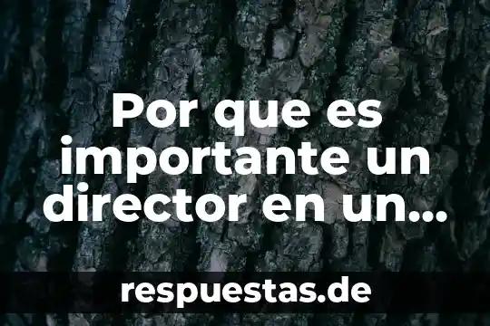 Que es un director general de un hospital 5 Por que es importante un director en un hospital