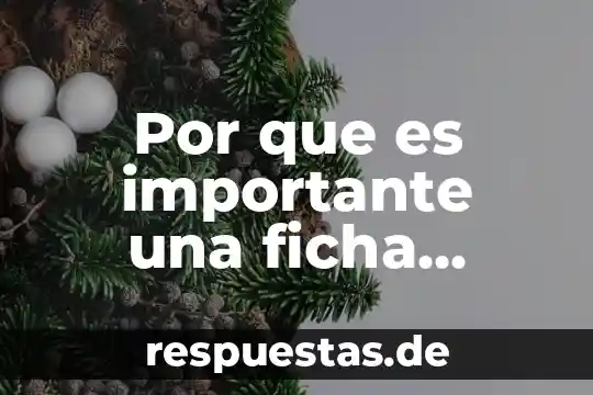 Por que es importante una ficha tecnica