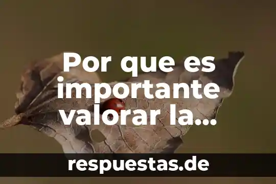 Por que es importante organizarse en una sociedad 4 Por que es importante valorar la cultura