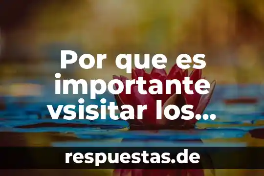 Por que es importante la libertad de expresion 5 Por que es importante vsisitar los pinos