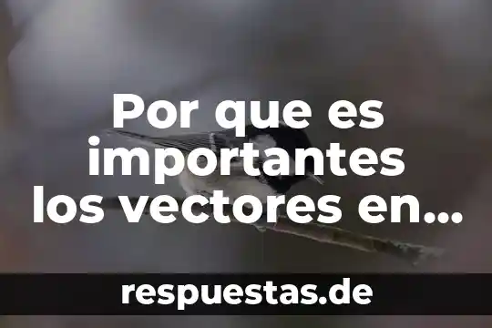Que es el arte en la vida saludable 4 Por que es importantes los vectores en la vida cotidiana