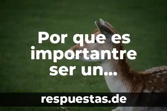 Que es ser asistente directivo 3 Por que es importantre ser un investigador