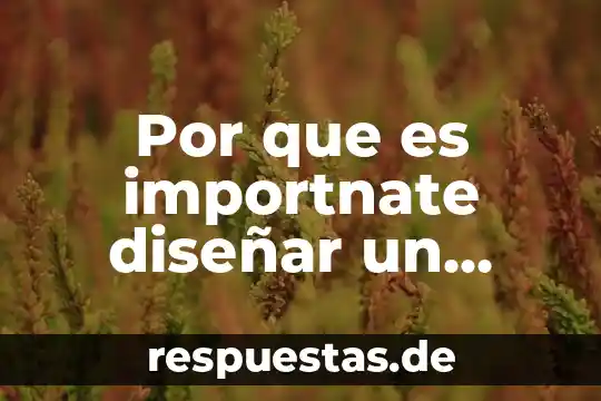 Que es lo necesario para diseñar un jardin 5 Por que es importnate diseñar un programa de estudio