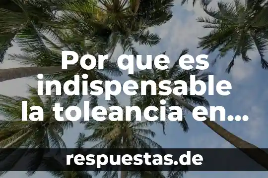 Que es una sociedad democratica 3 Por que es indispensable la toleancia en una sociedad democratica