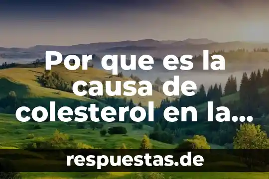 Que es la filosofia esencia y causa 3 Por que es la causa de colesterol en la sangre