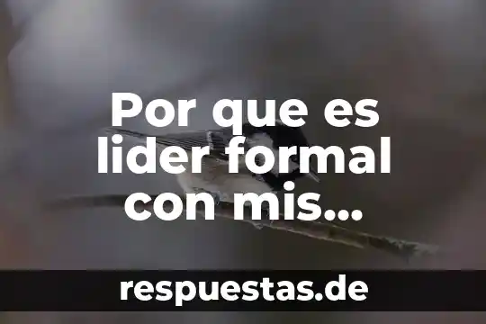 Con tus propias palabras que es una teoría del aprendizaje 5 Por que es lider formal con mis propias palabras