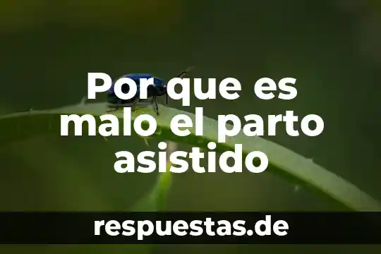 Que es un grafico emplea diseño asistido por computadora 3 Por que es malo el parto asistido
