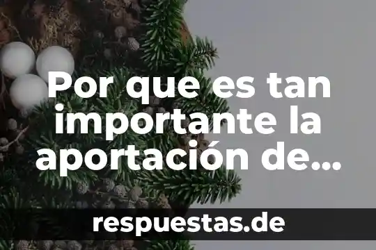 Por que es tan importante la aportación de la teoría