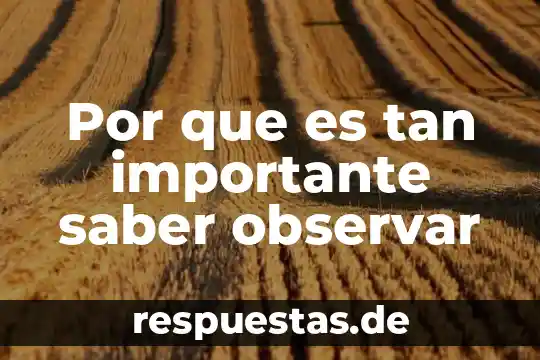 Para que me sirve saber que es un argumento 7 Por que es tan importante saber observar