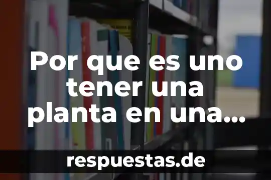 Que es una planta fisica 5 Por que es uno tener una planta en una oficina