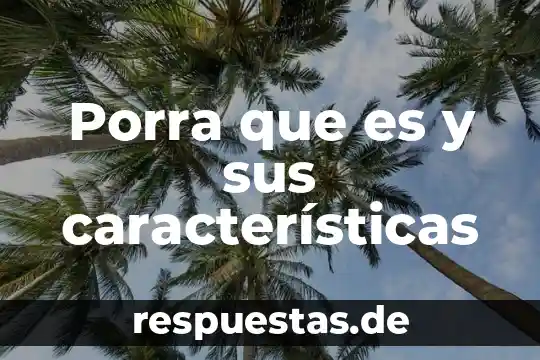 Que es un baricentro y sus caracteristicas 3 Porra que es y sus características