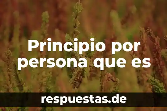 Qué es obra de principio 5 Principio por persona que es