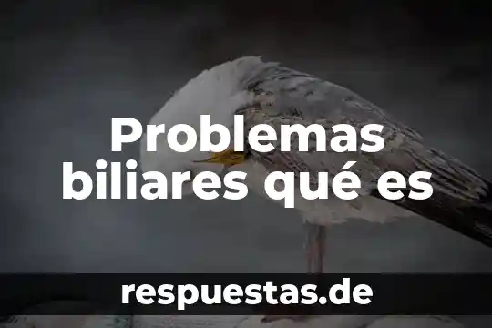 Problemas de certificación que es, como sucede que lo ocasiona 5 Problemas biliares qué es