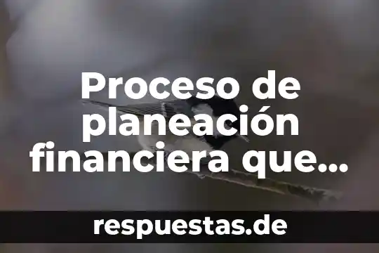 Que es socio emocional afectivo en ser humano 7 Proceso de planeación financiera que es