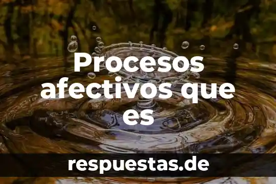 Procesos afectivos que es