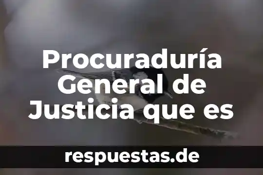 Que es signo en las artes 5 Procuraduría General de Justicia que es