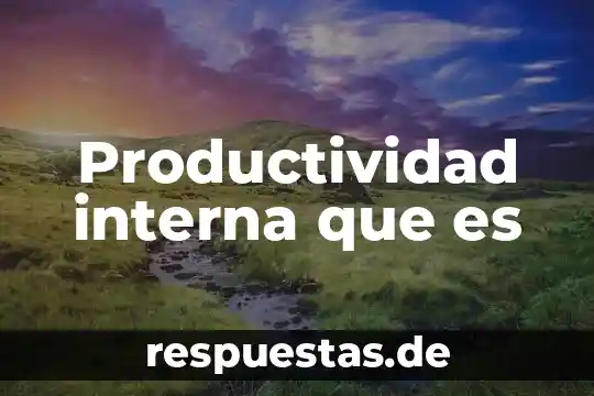 Qué es el índice de productividad IP7 6 Productividad interna que es