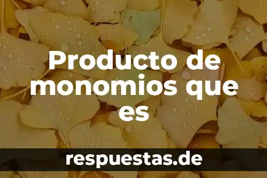 Que es un servicio y que es un producto 6 Producto de monomios que es