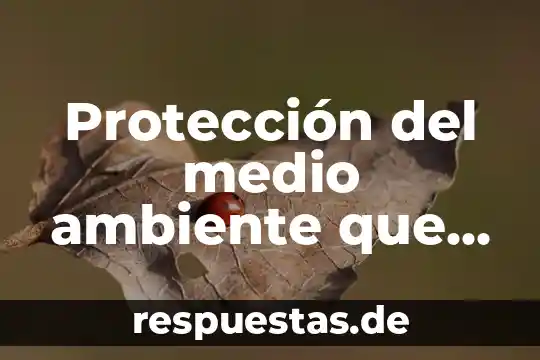 Protección del medio ambiente que es importancia y características