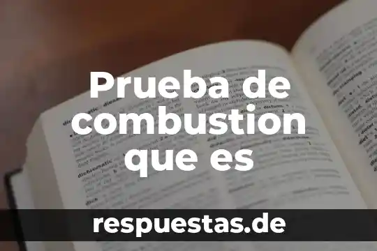 Prueba de combustion que es