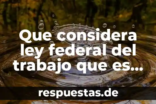 Sociedad hipotecaria federal que es y que hace 4 Que considera ley federal del trabajo que es sueldo