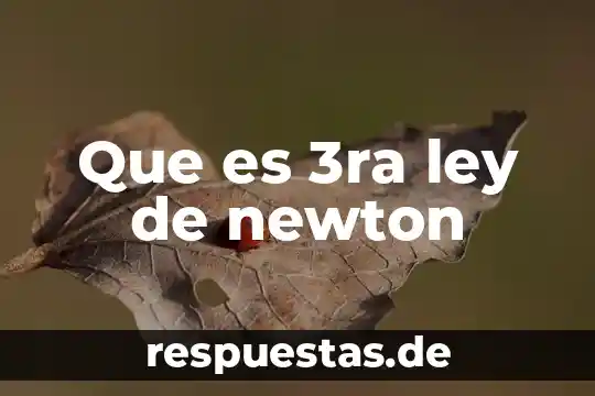 Ley hampa que es 4 Que es 3ra ley de newton