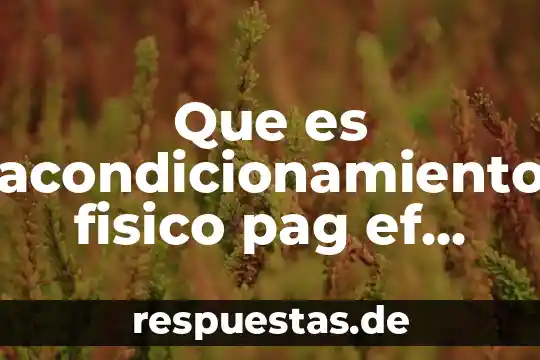 Que es acondicionamiento fisico pag ef deportes