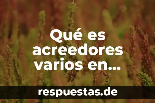 Qué es acreedores varios en contabilidad