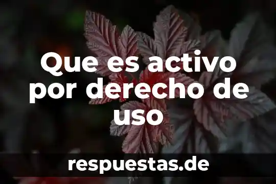 Que es maquila maquila en derecho 8 Que es activo por derecho de uso