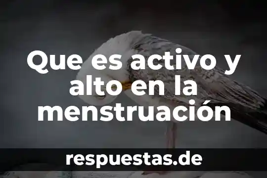 Que es el desarrollo economico alto 4 Que es activo y alto en la menstruación