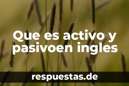Que es libro de si 7 Que es activo y pasivoen ingles