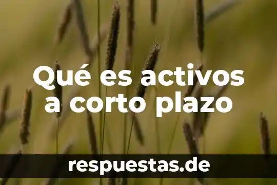 Qué es activos a corto plazo