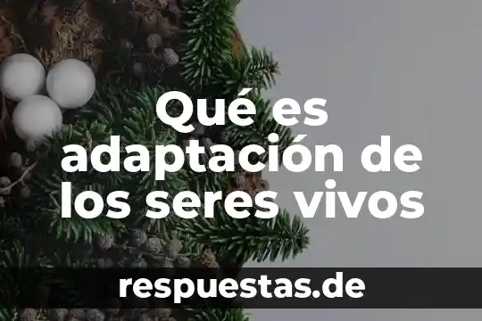 Qué es adaptación de los seres vivos