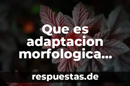 Que es una linea de texto ejemplos 7 Que es adaptacion morfologica ejemplos