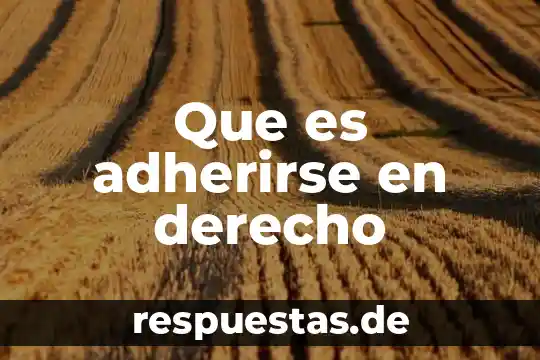 Que es exepcion de conetividad en derecho 8 Que es adherirse en derecho