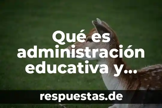 Que es la drogadiccion en mi sociedad 8 Qué es administración educativa y organización educativa